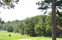 48 Jubileo Way, Hot Springs Village, AR 71909