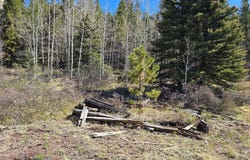 County Rd 46, Aguilar, CO 81020