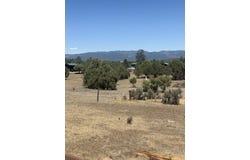 Heron P1 49a Private Road, Tierra Amarilla, NM 87575