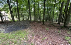 Grasshopper Lane, Greentown, PA 18426