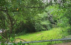 204 Jordan, Oglethorpe, GA 31068