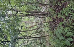 Broadway Road, Potts Camp, MS 38659