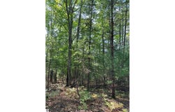 592 SE Blue Heron Drive, Kalkaska, MI 49646-8514