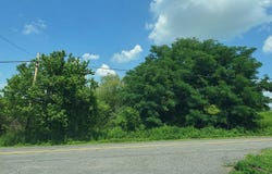 170 PASSMORE Road, BECHTELSVILLE, PA 19505