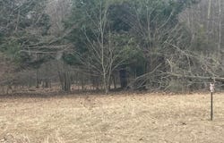 10228 Opal Ridge Drive, Onekama, MI 49675