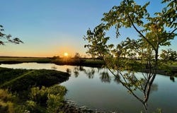 CR 358, Gause, TX 77857
