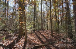 10.64 AC Burree Road, Clover, SC 29710