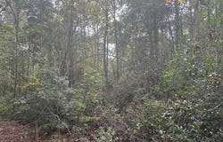 1281 0 Jack and Johnny Rd. SW, Shallotte, NC 28470