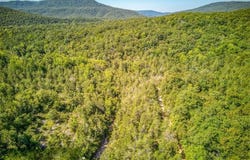 000 NC 2900, Marble Falls, AR 72648