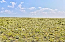 000 UTSE TRAIL, Hartsel, CO 80449