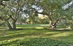 101 Oak Hill Drive, Brenham, TX 77833