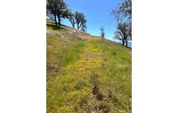 0 Piute Meadows Road, Caliente, CA 93518