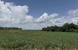 W 50 S, Princeton, IN 47670