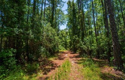 130 SE 7TH STREET, PALATKA, FL 32177