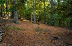 9816 Bottle Bay Rd, Sagle, ID 83860