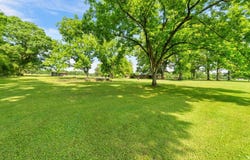 49 Breland Rd., Tylertown, MS 39667