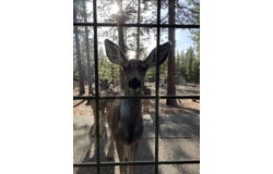 153526 Twilla Court, La Pine, OR 97739