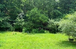 0 NE 6th Street, Mill Spring, MO 63952