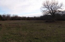 0 Hedge Rd, Coleman, OK 73432