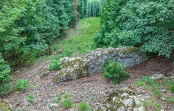 TBD Low Gap  RD, West Fork, AR 72774