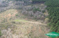 Watson Road, Plain Dealing, LA 71064