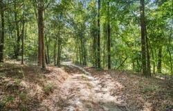 785 Moncrief Road, Roberta, GA 31078
