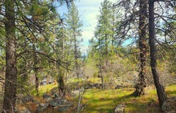 1815 S Eastern Road, Spokane Valley, WA 99212