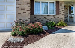 11273 Stoney Brook Drive, Grand Ledge, MI 48837