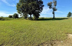 17219 Moore Rd, Andalusia, AL 36420