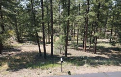 1160 S Cherokee Drive, Show Low, AZ 85901