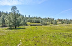 13012 Highway 124, Ione, CA 95640