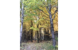 8029 US Highway 11, Potsdam, NY 13676