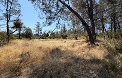 Whippoorwill Circle, Shingletown, CA 96088
