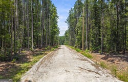 0 Tall Oaks, Watkinsville, GA 30677