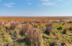 TBD County Road N, Eads, CO 81036