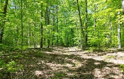 Lewistown Road, Locust Grove, VA 22508