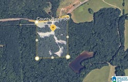 0 COUNTY ROAD 46, MONTEVALLO, AL 35115