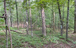 Lot 36 Hampton Farms Trail, Jasper, GA 30143