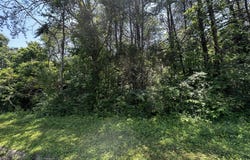 1995 Bluebird Circle, Morristown, TN 37814