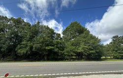 Lot E S Ga Highway 23, Waynesboro, GA 30830