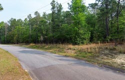 Mt Zion Road, Trenton, SC 29847