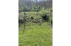 Tbd Crabtree Hollow, Clintwood, VA 24228