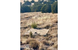 14 8249 County Road, Concho, AZ 85924