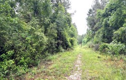Emerald State Line Road, Magnolia, MS 39652
