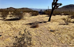 59787 Sharp Terrace, Joshua Tree, CA 92252