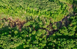 30659 Townline Road, Ontonagon, MI 49953
