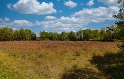 0000 Clarendon Chadbourn Rd., Clarendon, NC 28432