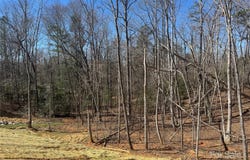 97 Harmony Drive, Nebo, NC 28761