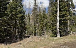 347 N Falcon Ct, Brian Head, UT 84719