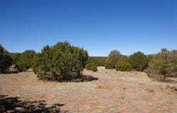 Tract 1B Camino del Sol, NM 87569